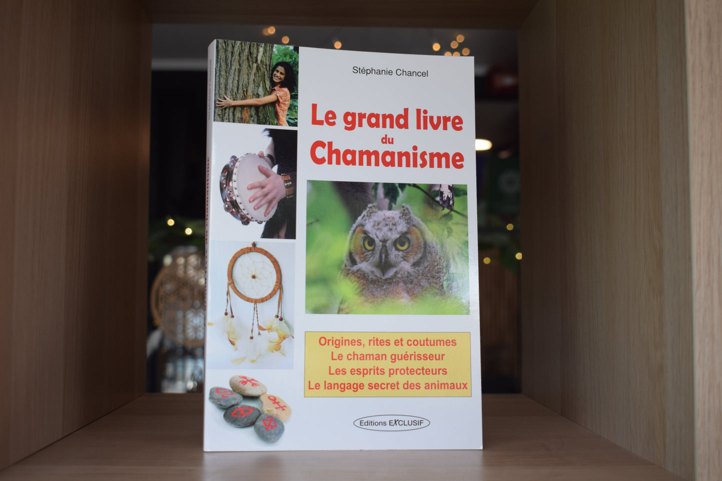 Le grand livre du chamanisme