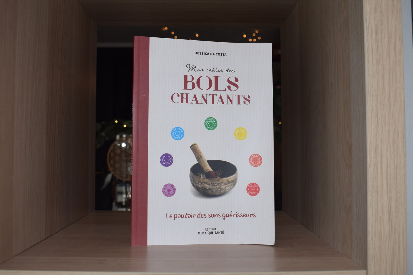 Mon cahier des bols chantants