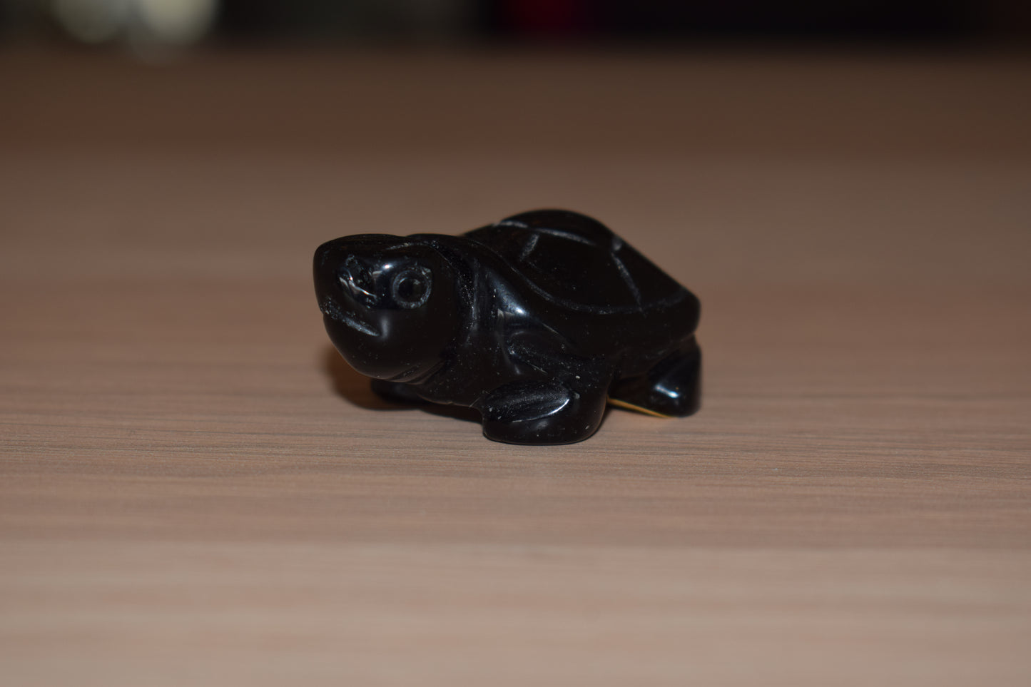 Tortue en obsidienne noire 42mm