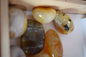 Agate naturelle 36mm Allemagne