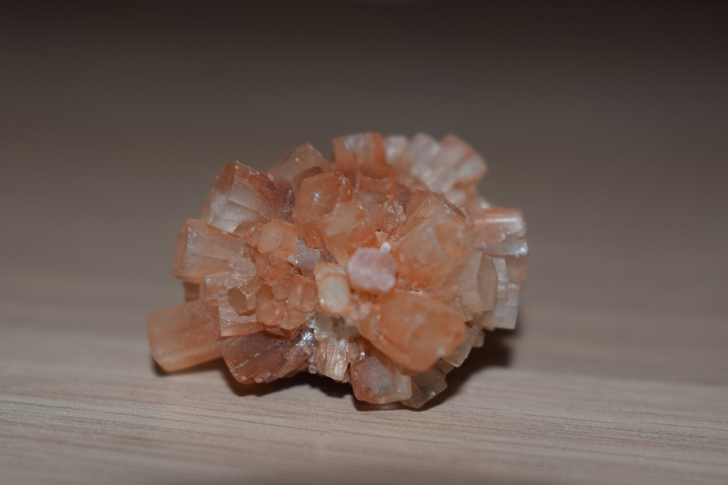 Aragonite 29mm Canada