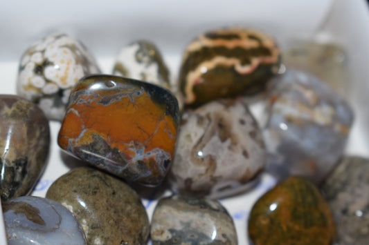 Jaspe océanique 24mm Madagascar