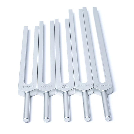 Jeu de diapasons Organes Humains