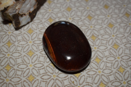 Oeil de taureau 48mm Afrique du sud